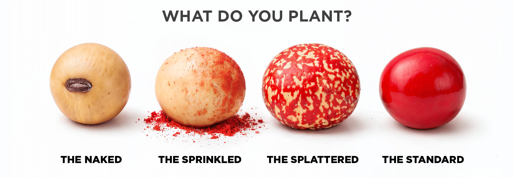 What Do You Plant? The Evolition of Seed Treatment